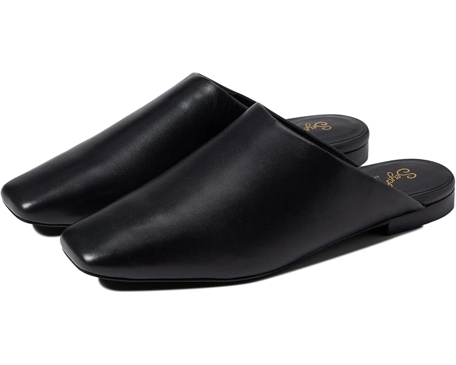 Seychelles Vice 3 Seychelles Vice