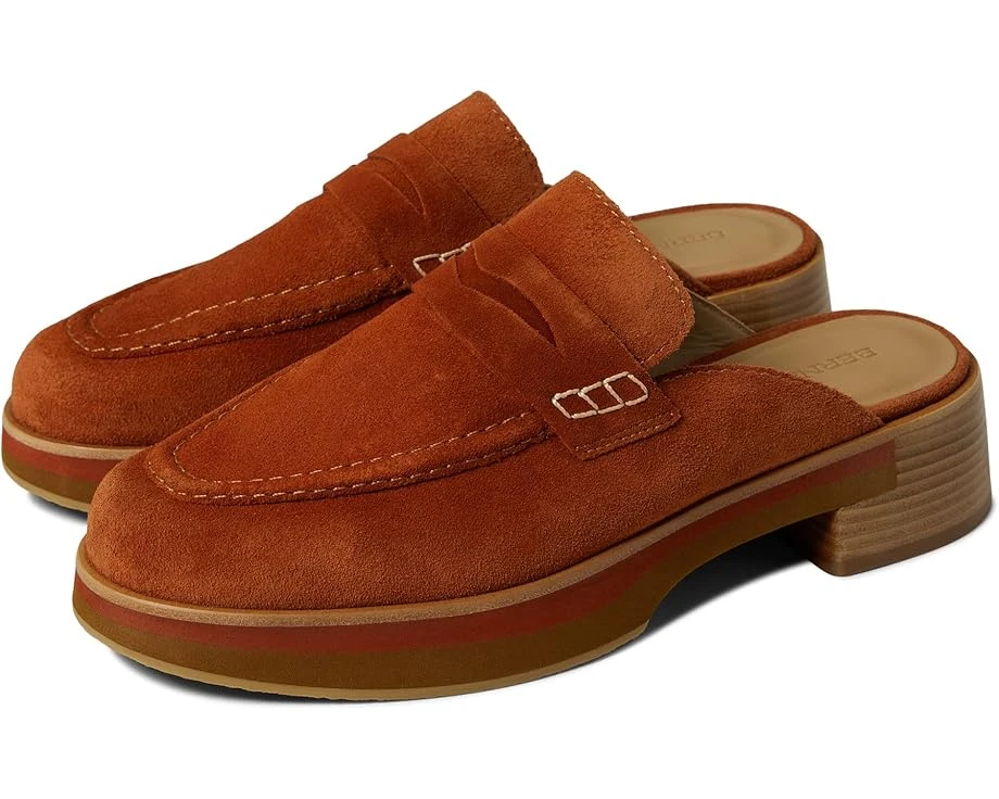 Bernardo Suri 3 Bernardo Suri