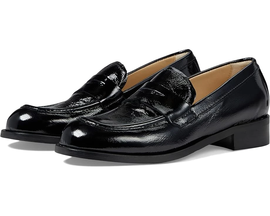 La Canadienne Dominic 3 La Canadienne Dominic