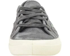 Natural World Old Blossom