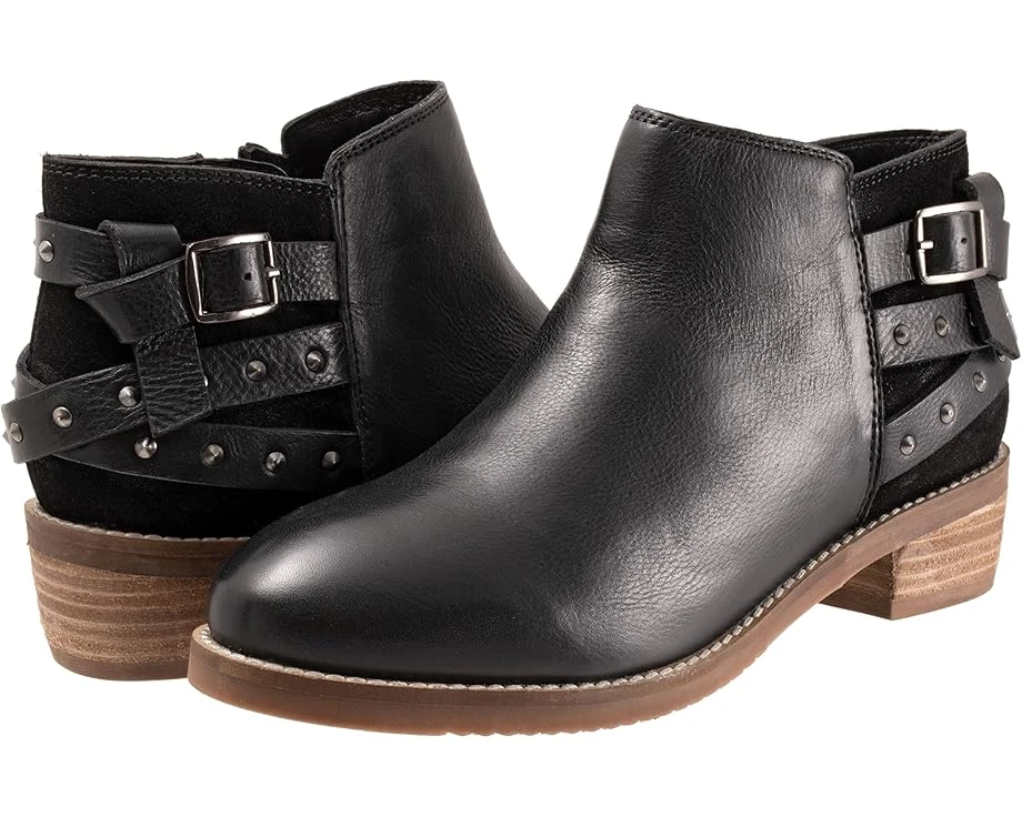 SoftWalk Raleigh 3 SoftWalk Raleigh