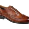 Thomas & Vine Franklin Wing Tip Oxford 1 Thomas & Vine Franklin Wing Tip Oxford -Stride & Style 81ZLw b2bGL. AC SR920736